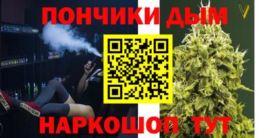 хмурый Кингисепп