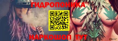 гидра Кимры