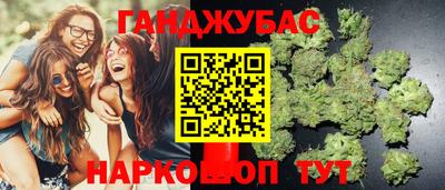 гидра Кимры