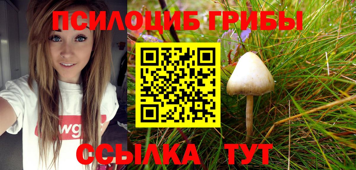 Краснодар  Галлюциногенные грибы Cubensis  Псилоцибиновые грибы Magic Shrooms  Вход с VPN 